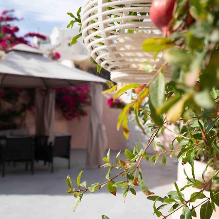 Santorini Oasis- Cave House Villa Fira  Exterior foto